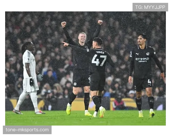 富勒姆稳扎稳打冲击英超新高排名 富勒姆稳扎稳打冲击英超新高排名