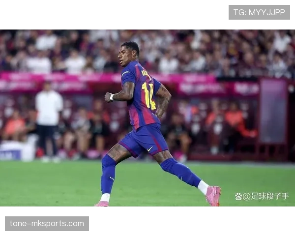 拉什福德技术能力总结