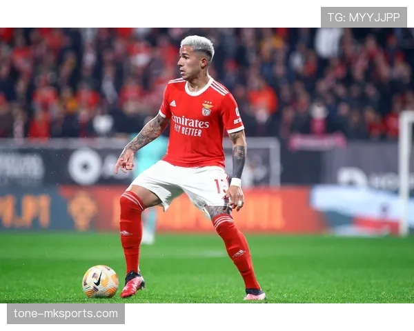 恩佐转会费是否溢价：战术价值与市场定价的匹配度分析