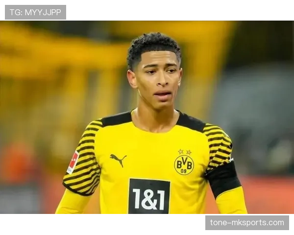 恩德里克帕尔梅拉斯早期荣誉解析