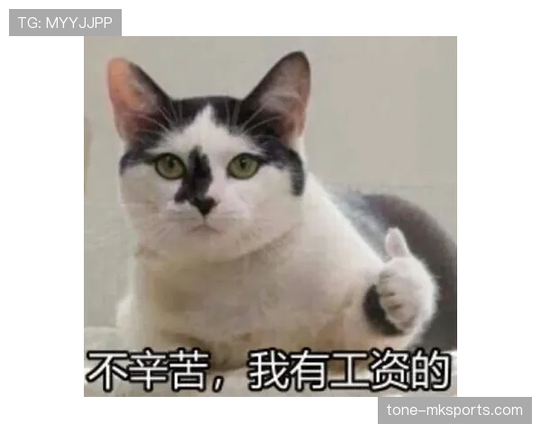 掌敏洁家的猫吃的比我的工资还贵