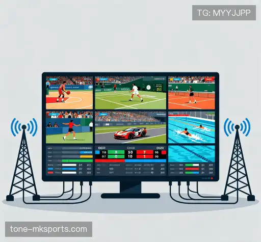 我们比别人更强的点